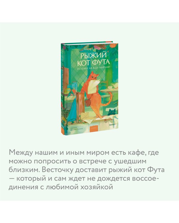 Рыжий кот Фута из кафе между мирами