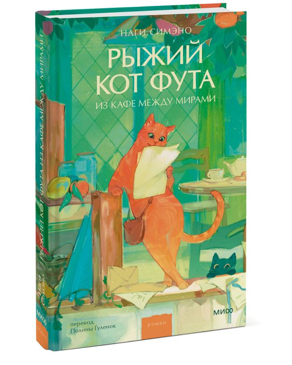 Рыжий кот Фута из кафе между мирами