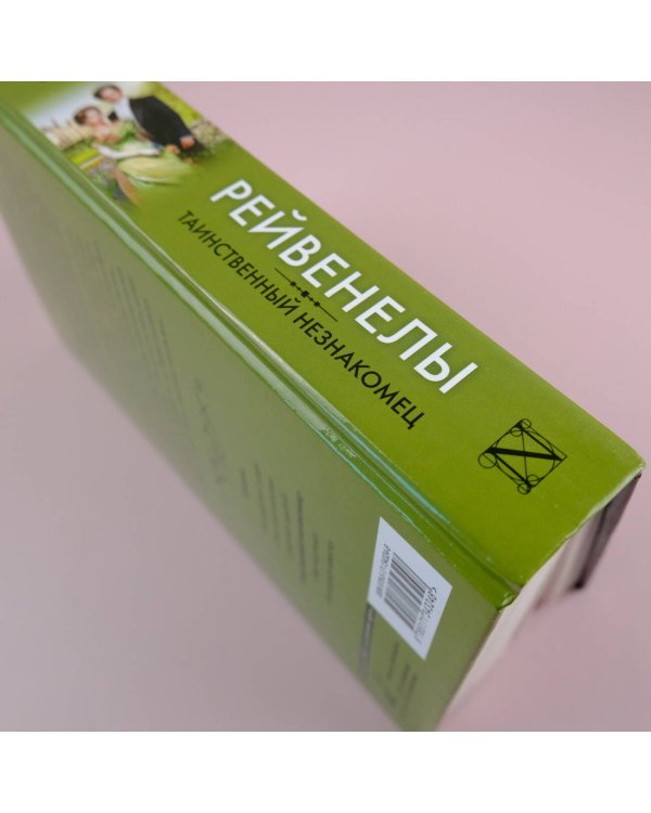 Таинственный незнакомец