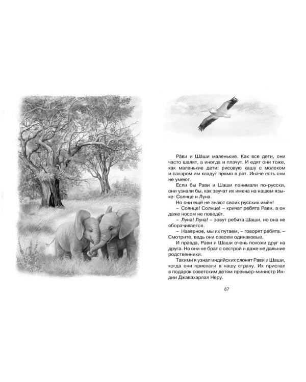 Зачем белке хвост. Рассказы и повесть