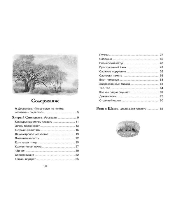 Зачем белке хвост. Рассказы и повесть