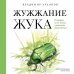 Жужжание жука. Полевые и не очень дневники орнитолога
