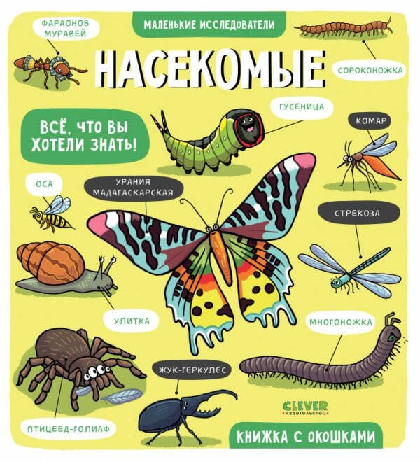Обложка книги «Маленькие исследователи. Насекомые», ISBN 9785001546740