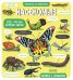 Обложка книги «Маленькие исследователи. Насекомые», ISBN 9785001546740