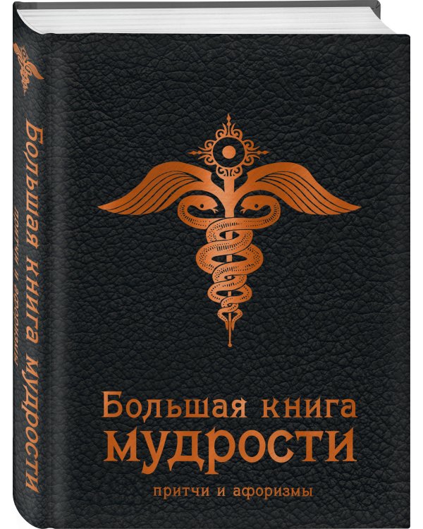 Большая книга мудрости (черная)