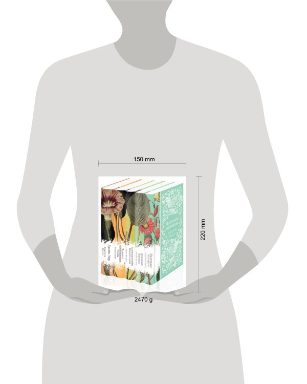 Набор "Коллекция элегантной классики" (из 5-ти романов: Джейн Эйр, Вдали от обезумевшей толпы, Маленькая хозяйка Большого дома, Грозовой перевал, Маленькие женщины)