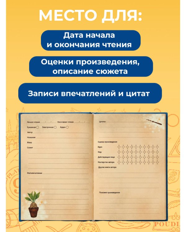 Гарри Поттер. Неофициальный читательский дневник (маховик времени)