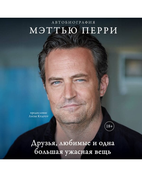 ДРУЗЬЯ, ЛЮБИМЫЕ И ОДНА БОЛЬШАЯ УЖАСНАЯ ВЕЩЬ. Автобиография Мэттью Перри