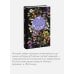 Дополнительное изображение книги «Олеся. Русская коллекция классики»