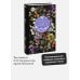Дополнительное изображение книги «Олеся. Русская коллекция классики»