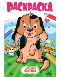 РАСКРАСКА с глазками 18мм. ДОМАШНИЕ ЖИВОТНЫЕ