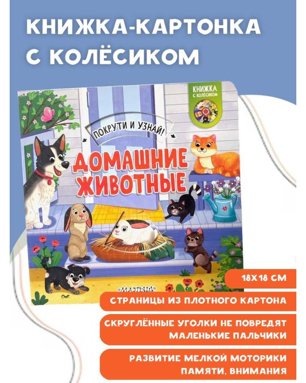 Домашние животные