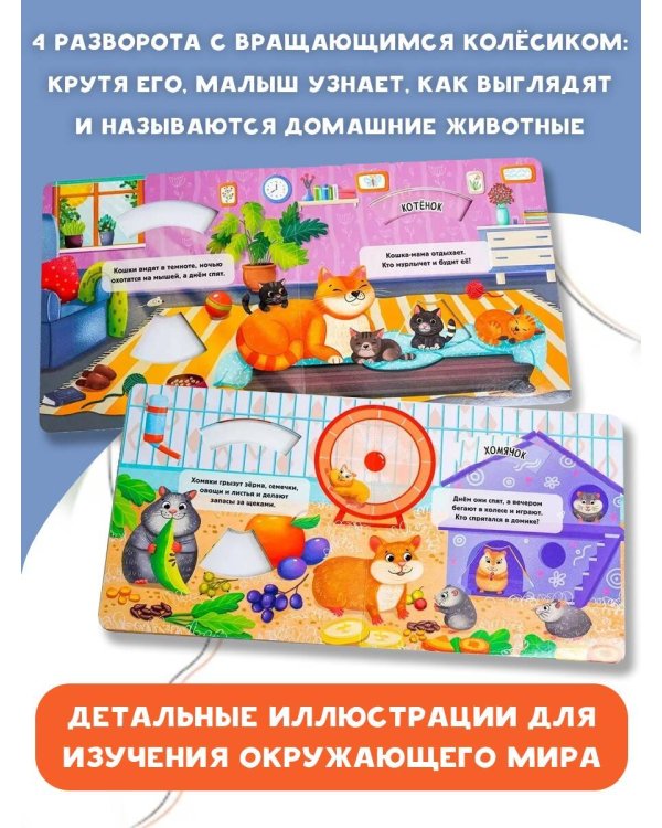 Домашние животные