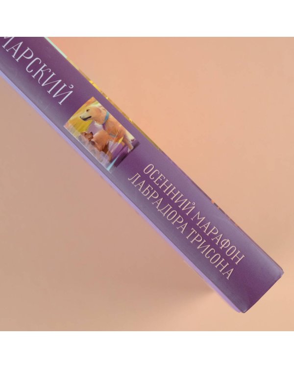 Осенний марафон лабрадора Трисона