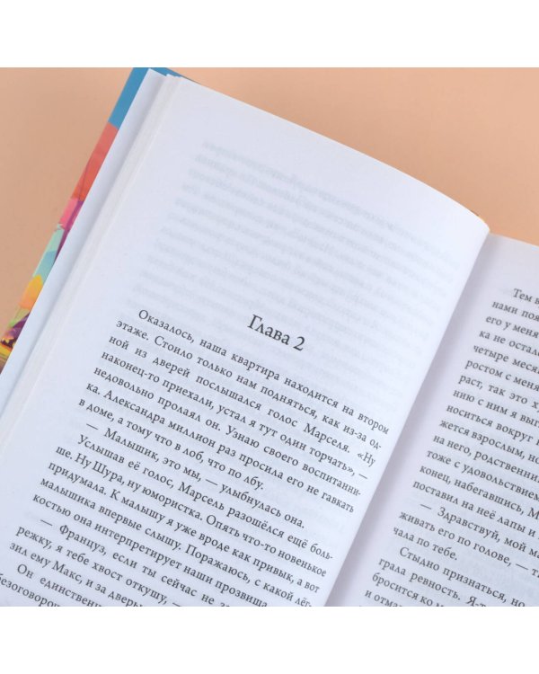 Осенний марафон лабрадора Трисона