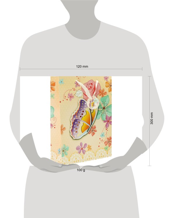 Пакеты подарочные. Пакет "Бабочка в цветах"  (1399-SB)