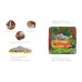 Дополнительное изображение книги «The Gruffalo (Julia Donaldson) Груффало (Джулия Дональдсон) /Книги на английском языке»