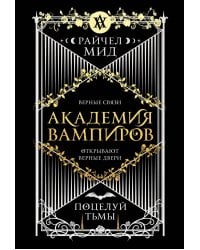 Академия вампиров. Книга 3. Поцелуй тьмы