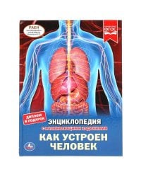 Как Устроен Человек. Энциклопедия А4 С Развивающими Заданиями.
