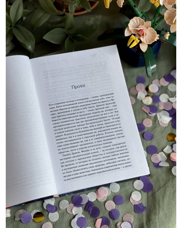 Дополнительное изображение книги «Цинь поет небесам о печали»