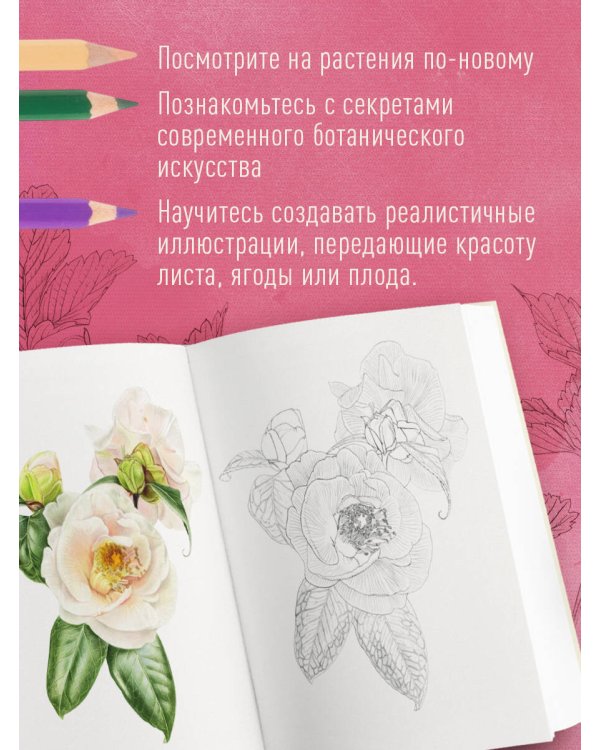 Дополнительное изображение книги «Большой ботанический альбом. Рисуем цветы цветными карандашами»