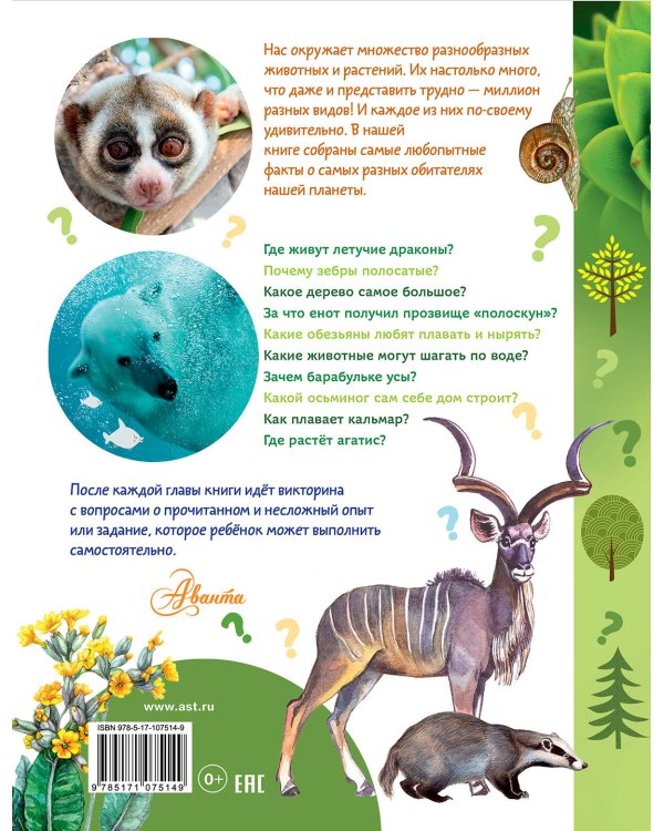 О животных и растениях