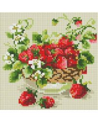 476-ST-PS Садовая земляника