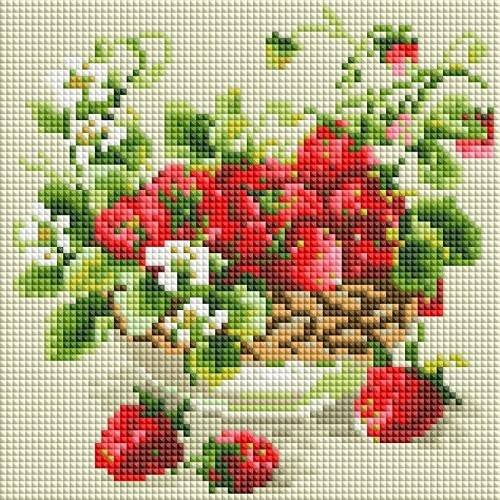 476-ST-PS Садовая земляника