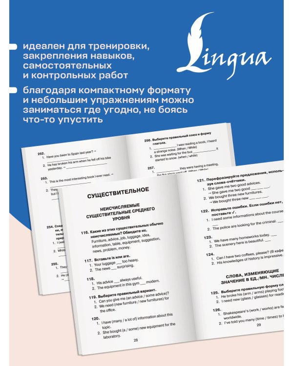 500 самых важных упражнений по английской грамматике. 5–11 классы