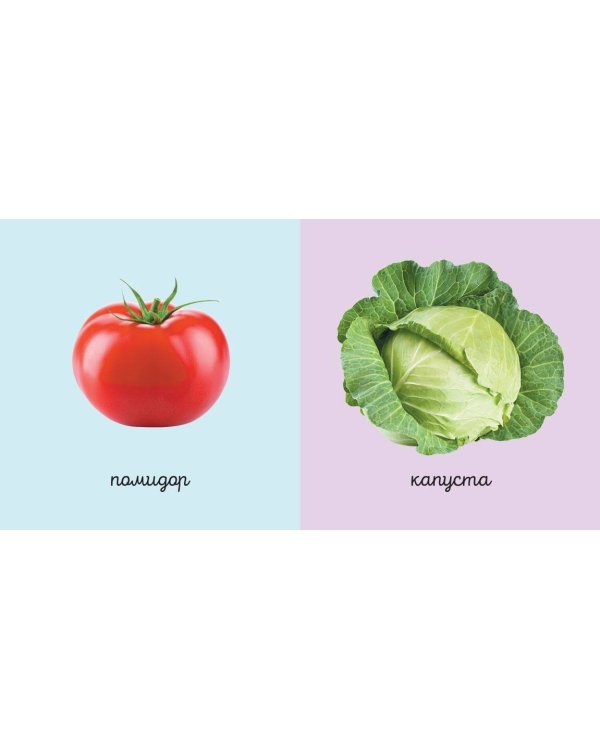 Комплект из 6 супер-прочных мини-книжек "Первые слова для девочек"