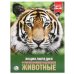 "УМКА". ЖИВОТНЫЕ (ЭНЦИКЛОПЕДИЯ А4). ТВЕРДЫЙ ПЕРЕПЛЕТ. БУМАГА МЕЛОВАННАЯ 130Г. 197Х255 ММ в кор.15шт