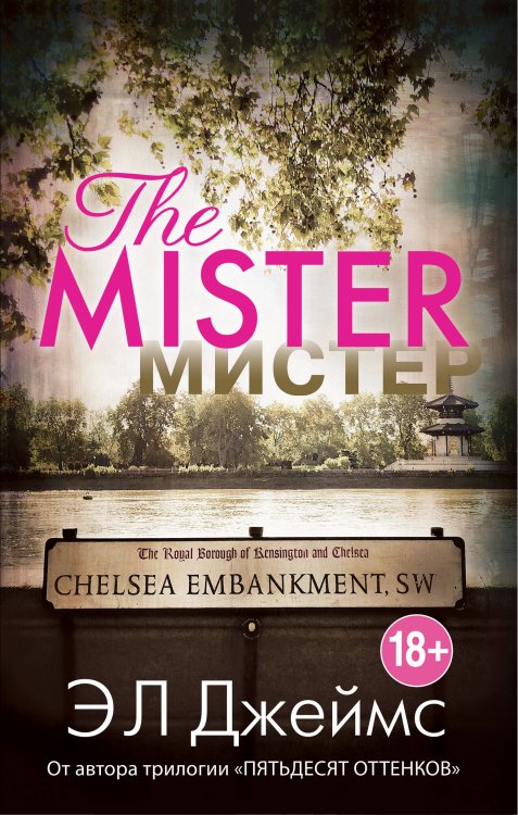 Эрика Джеймс. Мировое признание Мистер