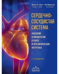 Сердечно-сосудистая система. Анатомия и физиология в покое и при физических нагрузках