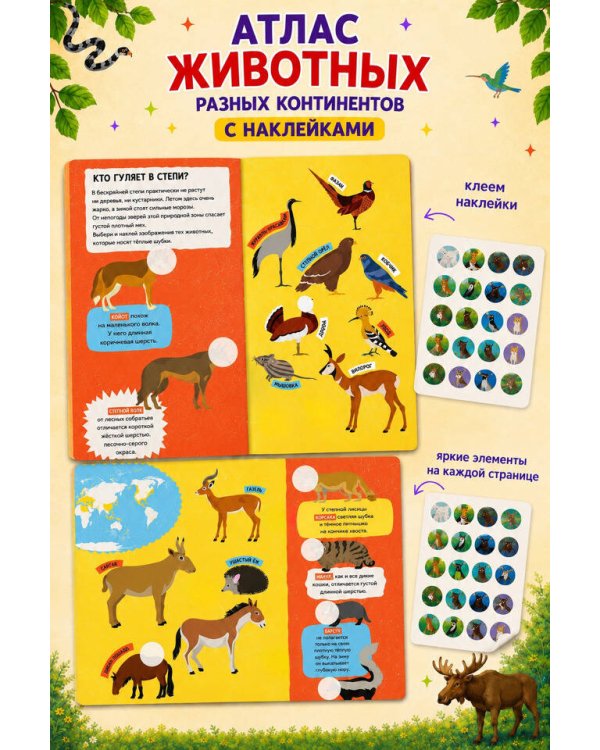 Дополнительное изображение книги «Атлас животных. 101 наклейка»
