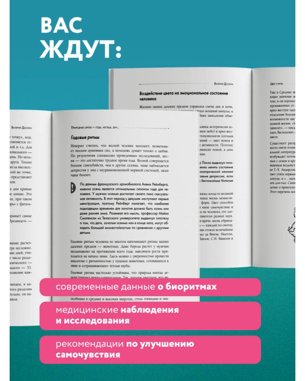 Биоритмы для здоровья. Рекомендации по режиму для хорошего самочувствия