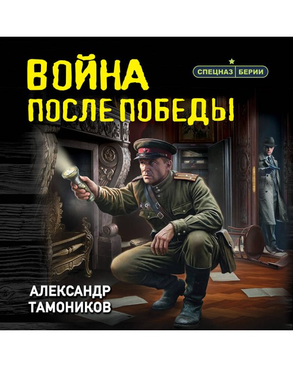 Дополнительное изображение книги «Война после победы»