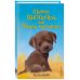 Холли Вебб. Добрые истории о зверятах. Мировой бестселлер Щенок Кнопочка, или Умная малышка (выпуск 26)