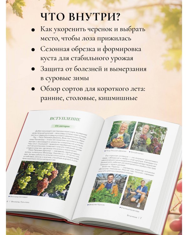 Дополнительное изображение книги «Виноград. Путь лозы. Шпаргалка-трекер: от черенка до грозди»