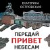 Петербургские детективные тайны Передай привет небесам