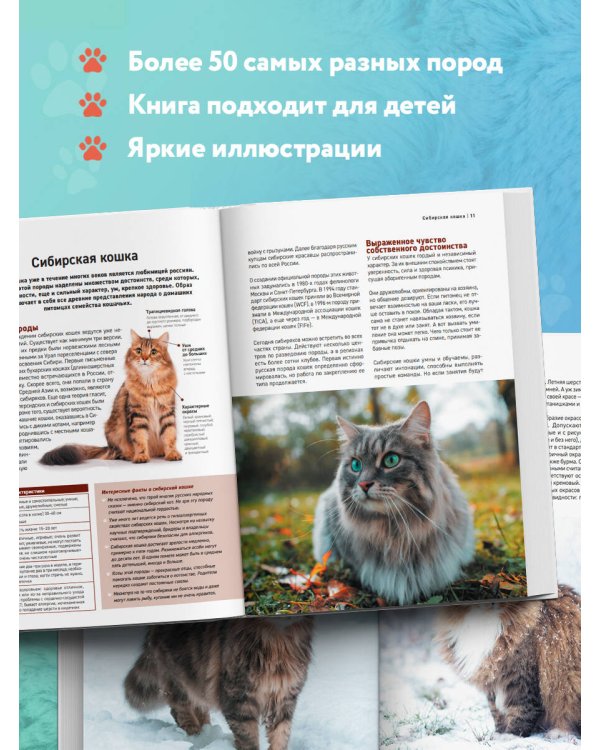 Самые известные породы. КОШКИ. Большая иллюстрированная энциклопедия
