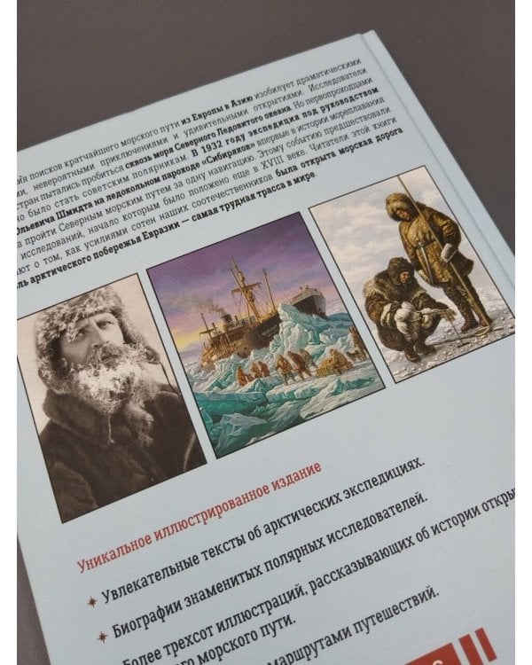 Дополнительное изображение книги «Северный морской путь. История освоения полярной трассы»