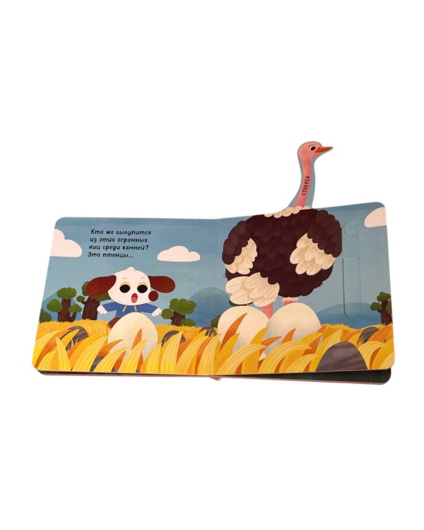 Угадай, кто в яичке