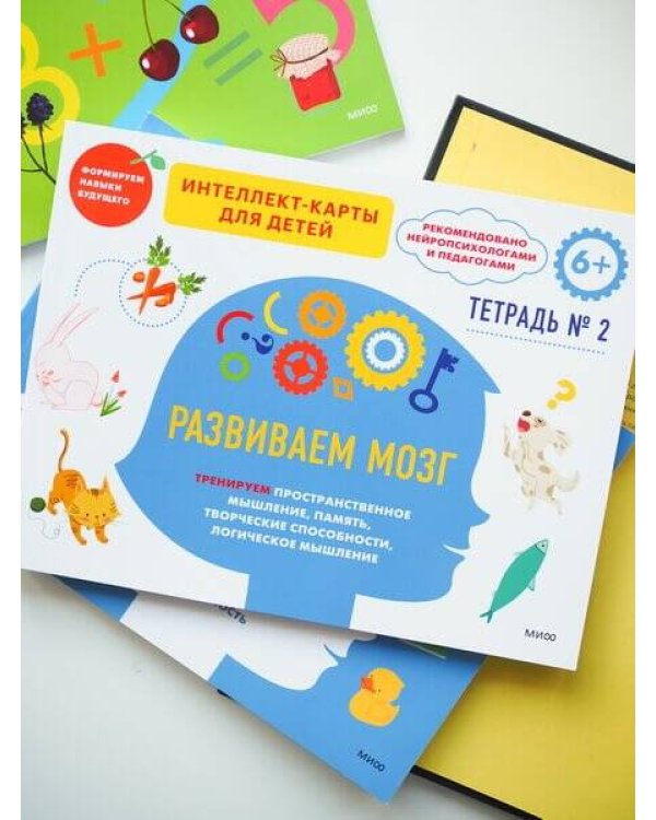 Развиваем мозг. Тренируем пространственное мышление, память, творческие способности, логическое мышление. Тетрадь 2