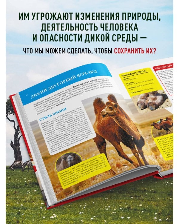 Красная книга мира. Большой формат. Более 500 уникальных иллюстраций и фактов (новое издание)