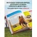 Красная книга мира. Большой формат. Более 500 уникальных иллюстраций и фактов (новое издание)