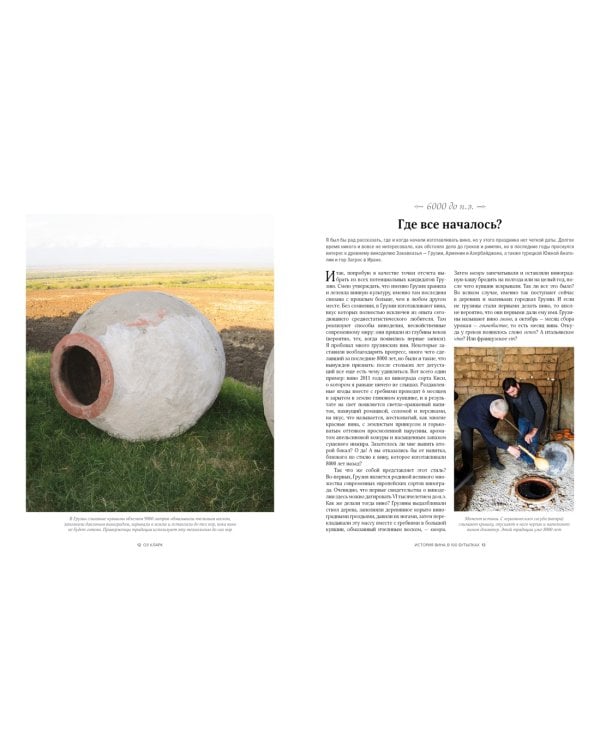 История вина в 100 бутылках. От Бахуса до Бордо и дальше