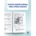 ОГЭ. География. ОГЭ на 100 баллов. Справочник: Теория и практика