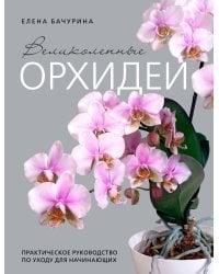 Великолепные орхидеи. Практичное руководство по уходу для начинающих