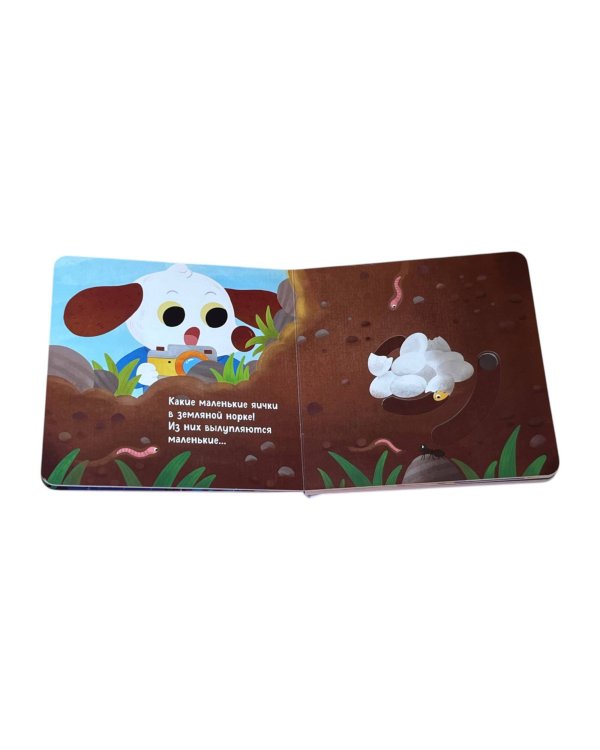 Угадай, кто в яичке