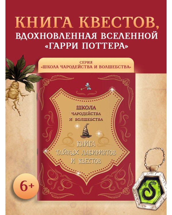 Школа чародейства и волшебства. Книга тайных лабиринтов и квестов